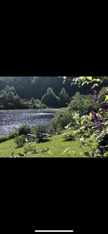 Glamping On Idyllic Lake, Paddle Boards & Rowboat Porsgrunn Extérieur photo