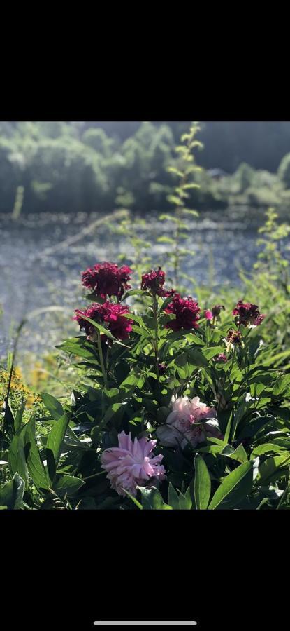 Glamping On Idyllic Lake, Paddle Boards & Rowboat Porsgrunn Extérieur photo