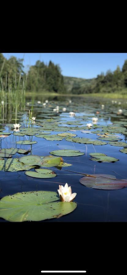 Glamping On Idyllic Lake, Paddle Boards & Rowboat Porsgrunn Extérieur photo