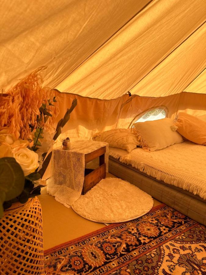 Glamping On Idyllic Lake, Paddle Boards & Rowboat Porsgrunn Extérieur photo