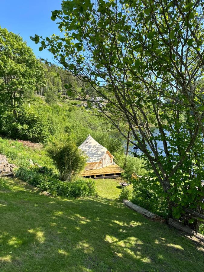 Glamping On Idyllic Lake, Paddle Boards & Rowboat Porsgrunn Extérieur photo